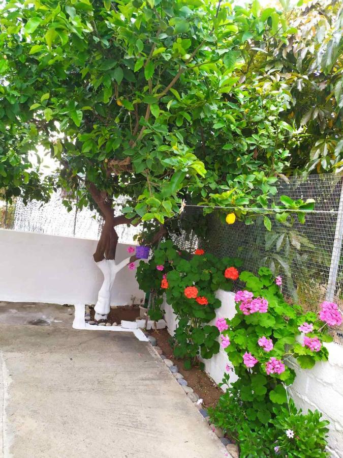 Meimetis Green House Neapoli Voion Bagian luar foto